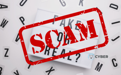 Have You Heard About Deepfake Scams?