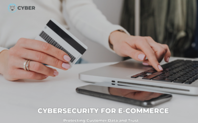 The Invisible Currency: Why Cybersecurity is the Real Foundation of E-commerce Success
